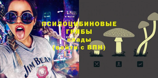 apvp Армянск