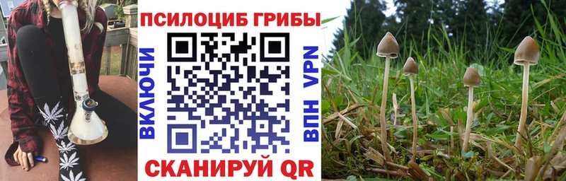 Галлюциногенные грибы Magic Shrooms  Олонец 