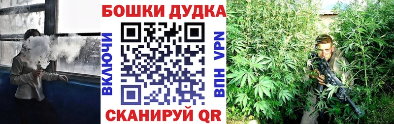 где можно купить наркотик  Олонец  Бошки марихуана планчик 